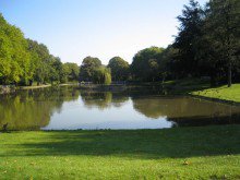 Stadtpark 3,5 Raum in Obercastrop  Am Stadtgarten 